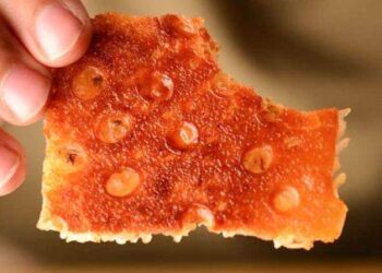 تاریخچه ( ته دیگ ) در کشور