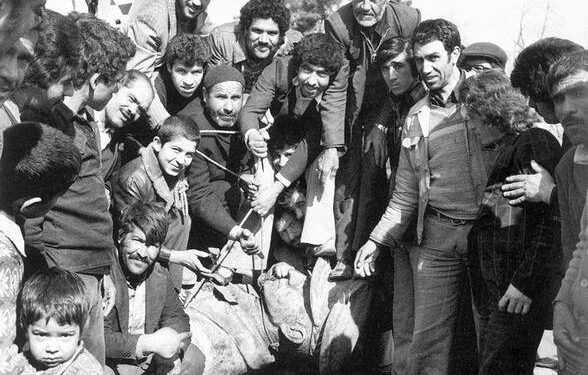 چه اتفاقاتی در آخرین سال سلطنت محمدرضا شاه افتاد؟