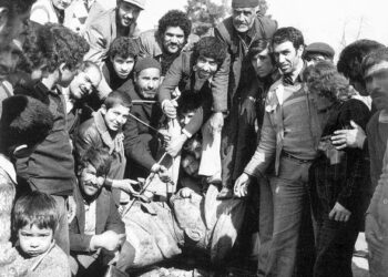 مروری بر وقایع سال آخر سلطنت محمدرضا پهلوی