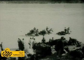 مستند علف Grass