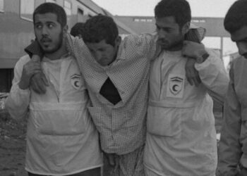 امدادگران دفاع مقدس، الگوی خدمات‌رسانی بهداشتی و درمانی