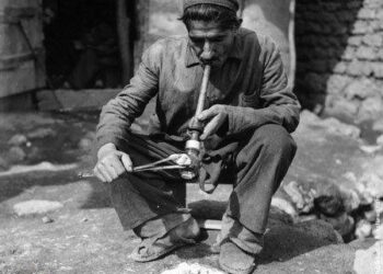 همه چیز در مورد کشت و تجارت تریاک در ایران