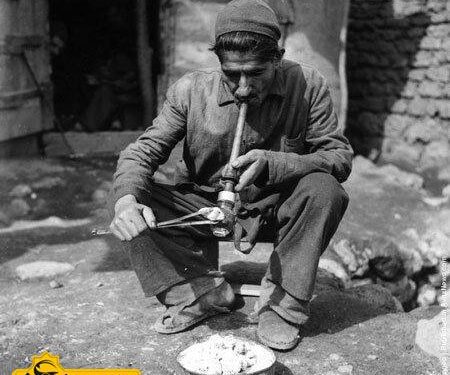 همه چیز در مورد کشت و تجارت تریاک در ایران