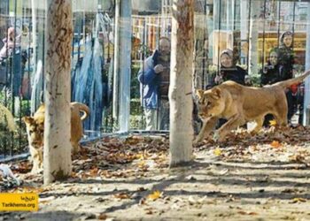 مجمع‌الوحوش ناصری