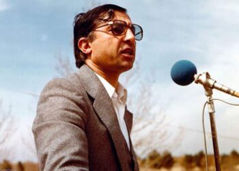 نظریه‌پرداز مشی انقلابی