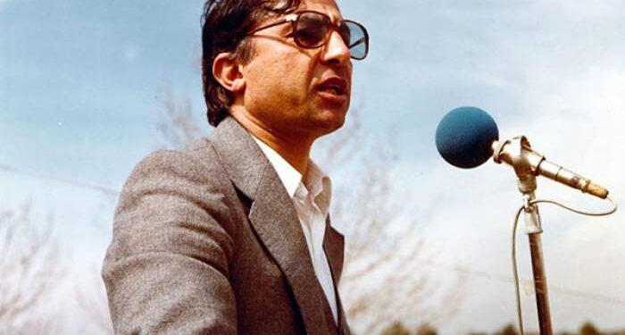 نظریه‌پرداز مشی انقلابی