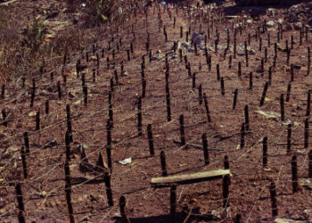 روحیه قوی رزمندگان در برخورد با مین