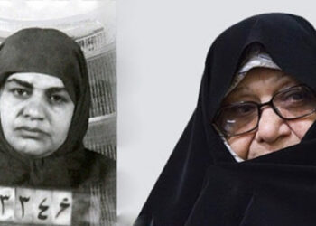 «بانوی چریک» به‌زودی منتشر می‌شود