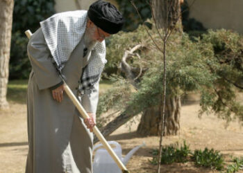 نهضت ملی درختکاری جدی گرفته شود و ادامه یابد