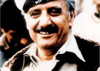 چه کسانی دنبال حذف قاسملو بودند؟