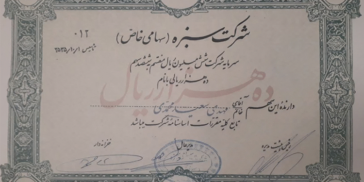 شرکت سبزه ؛ پوشش تفریح برای مبارزه