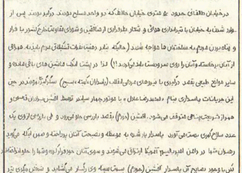 گلوله در پاسخ به «نه» مردم به فراخوان شورش